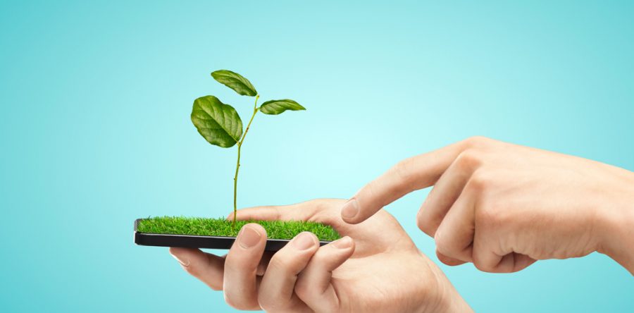 Fusce posuere tincidunt